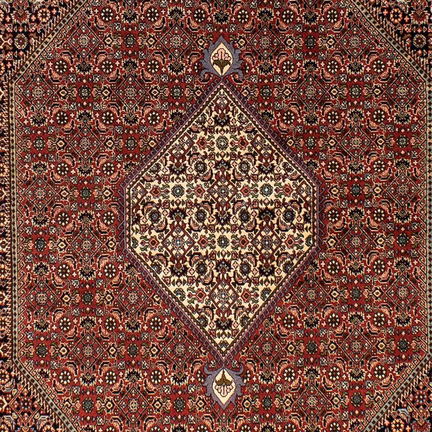 Perser Rug - Bidjar - 250 x 173 cm - brown