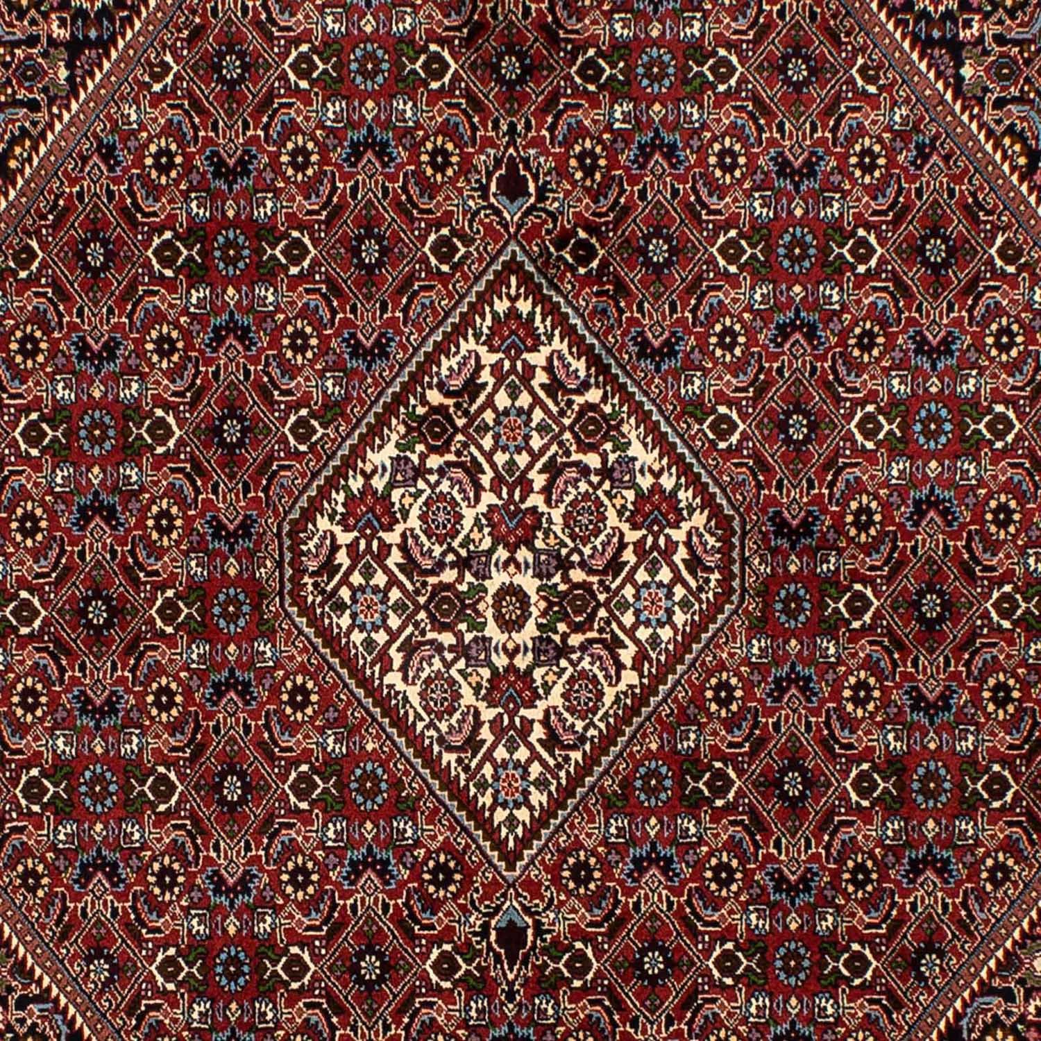 Perser Rug - Bidjar - 250 x 173 cm - brown