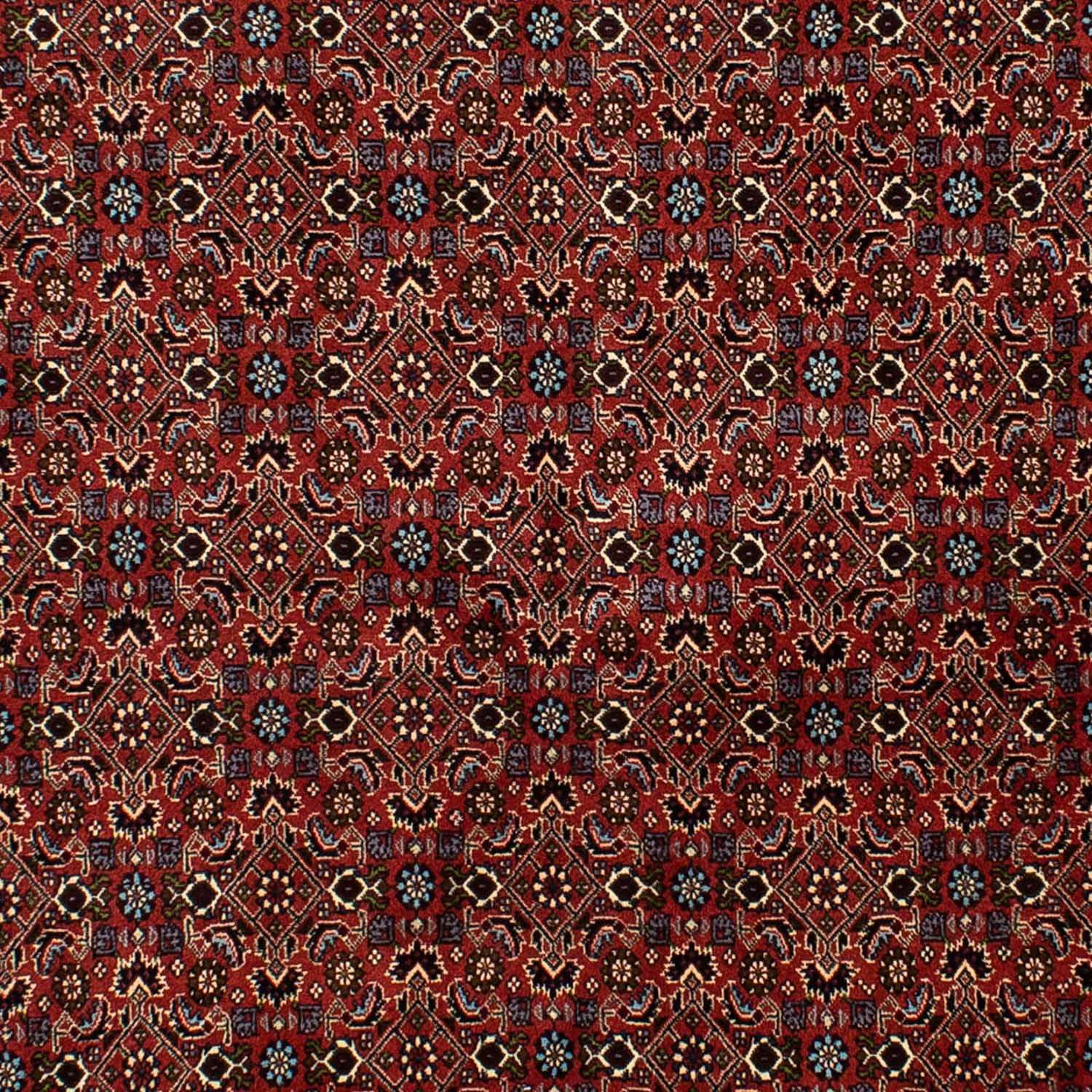 Perser Rug - Bidjar - 246 x 172 cm - dark red