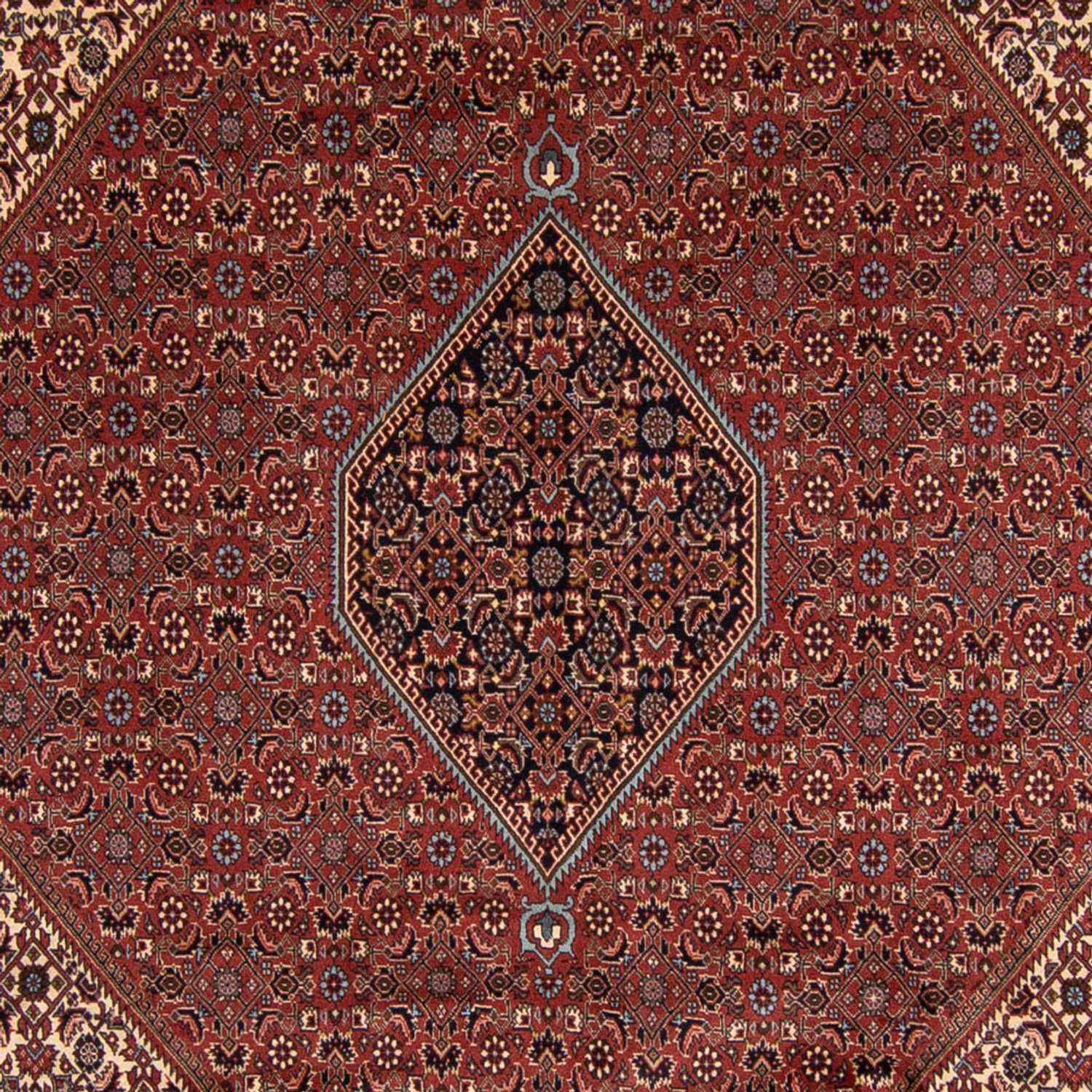 Perser Rug - Bidjar - 342 x 250 cm - brown