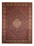 Perser Rug - Bidjar - 340 x 252 cm - brown