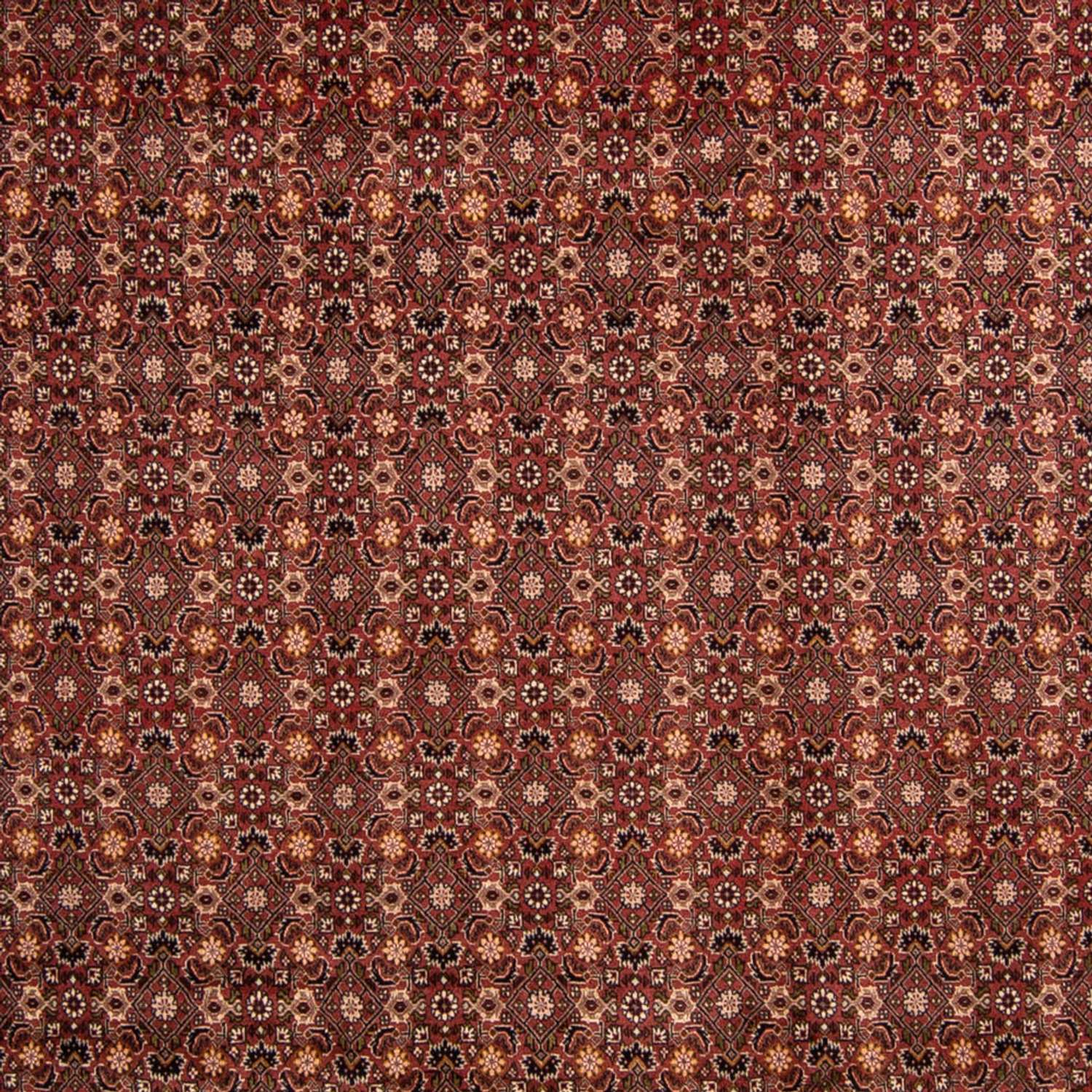 Perser Rug - Bidjar - 352 x 252 cm - brown