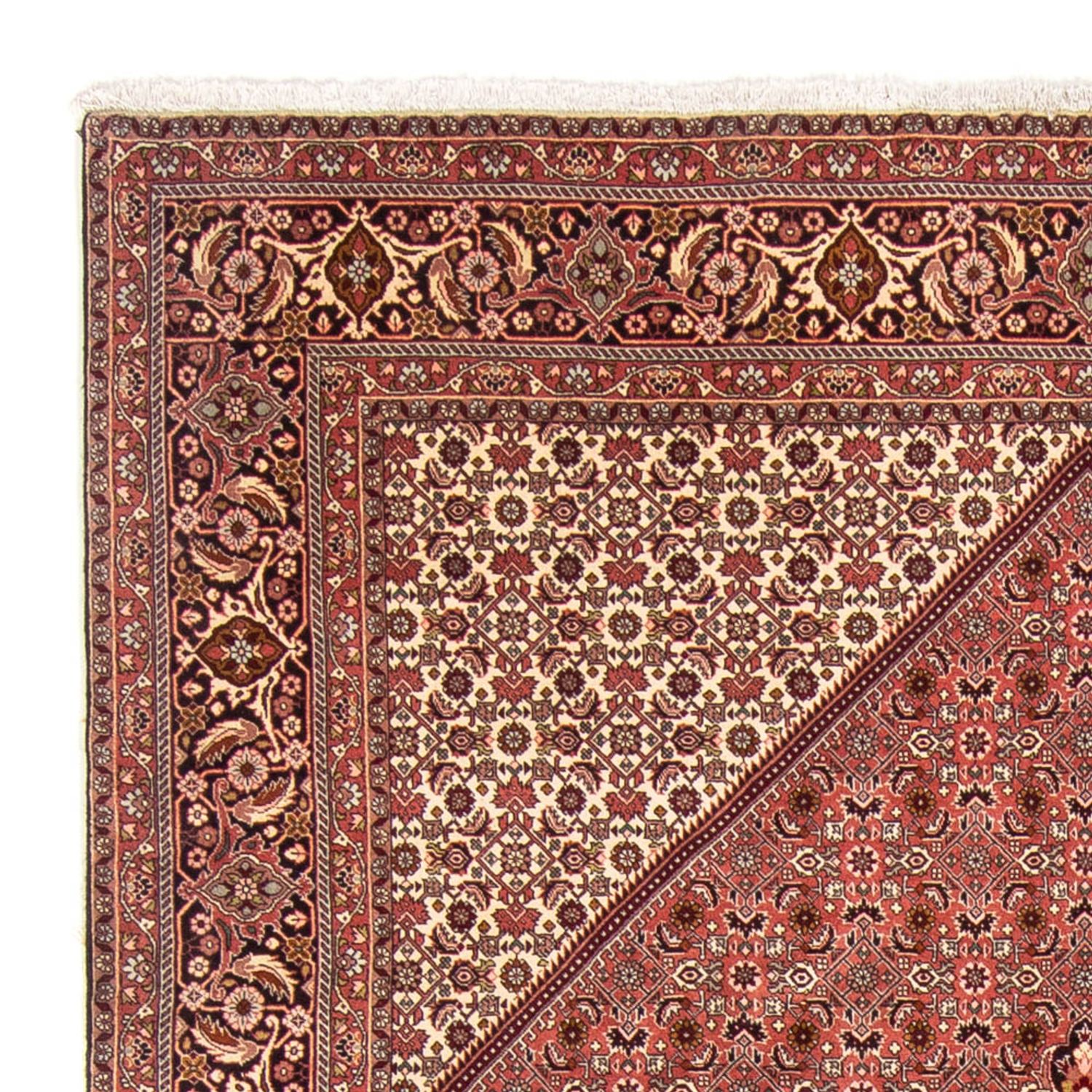 Perser Rug - Bidjar - 340 x 248 cm - light red