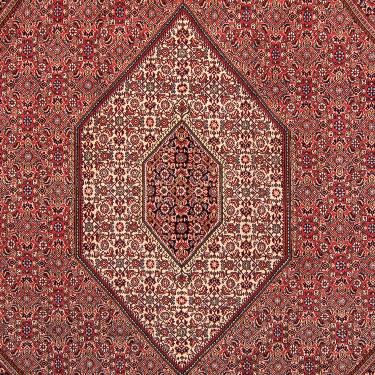 Perser Rug - Bidjar - 350 x 248 cm - light red