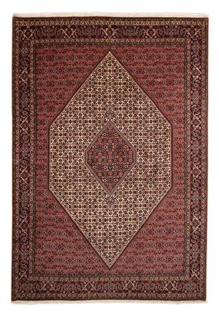 Perser Rug - Bidjar - 343 x 252 cm - dark red