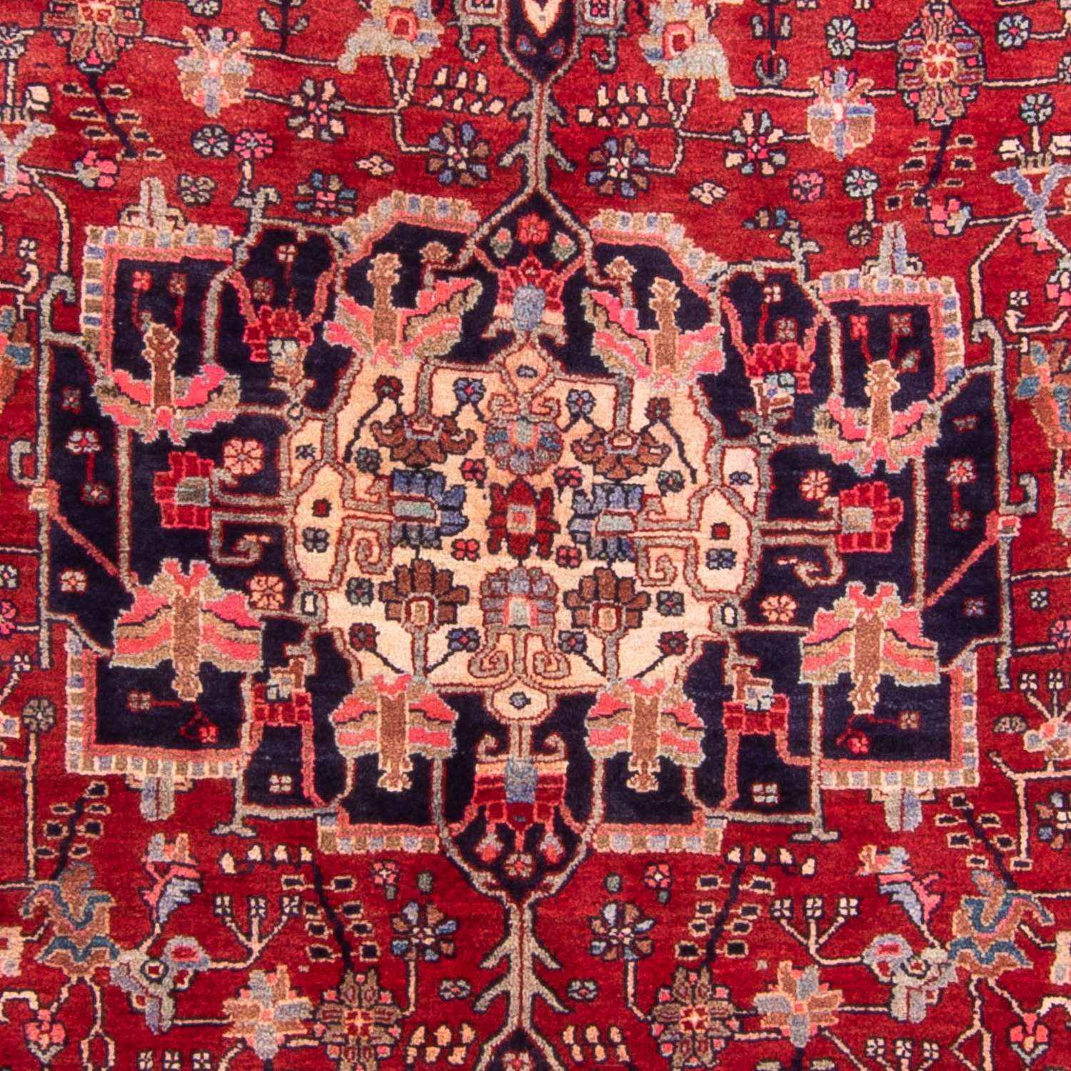 Perser Rug - Bidjar - 260 x 149 cm - red