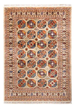 Ziegler Rug - Ariana - 247 x 175 cm - beige