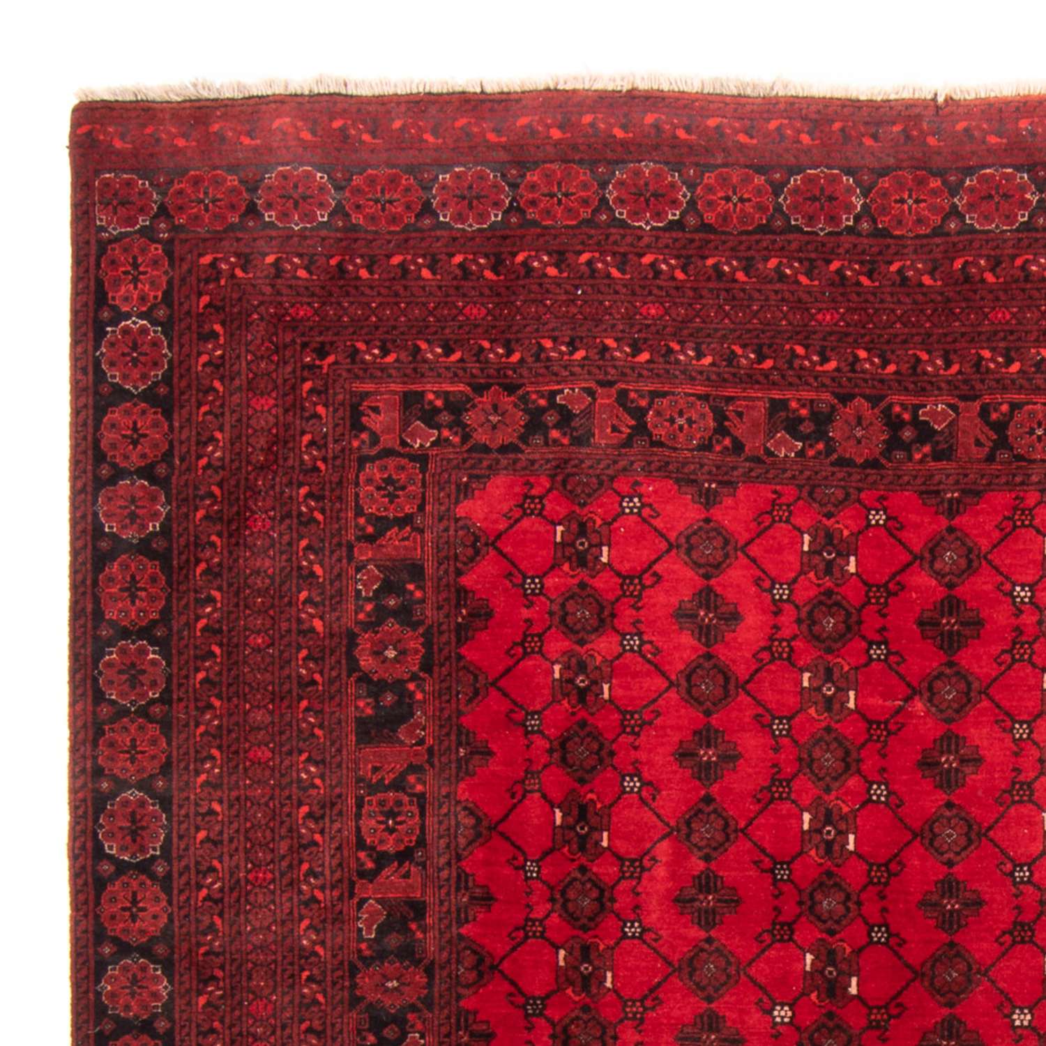 Turkaman Rug - 257 x 178 cm - red