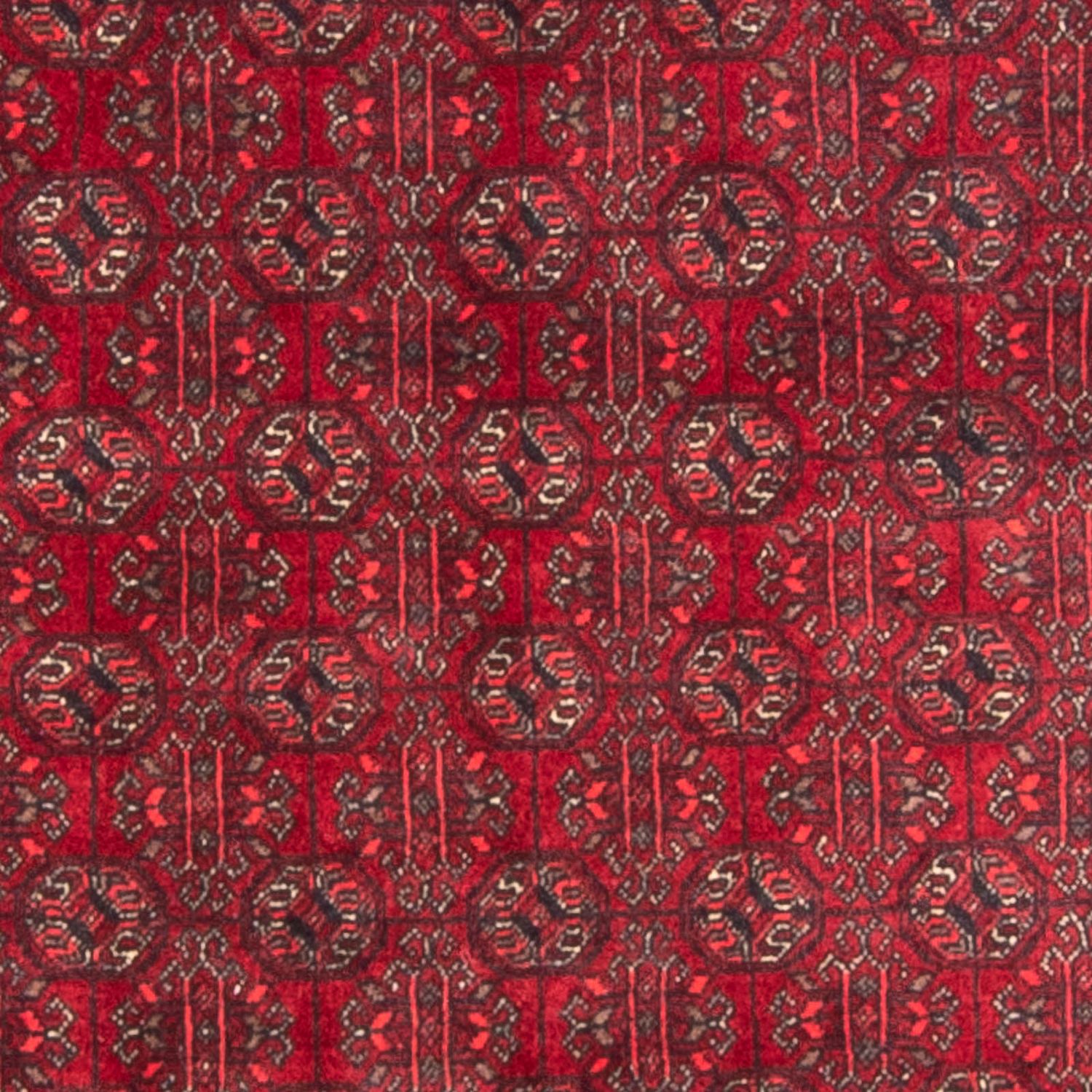 Afghan Rug - Bukhara - 196 x 124 cm - red