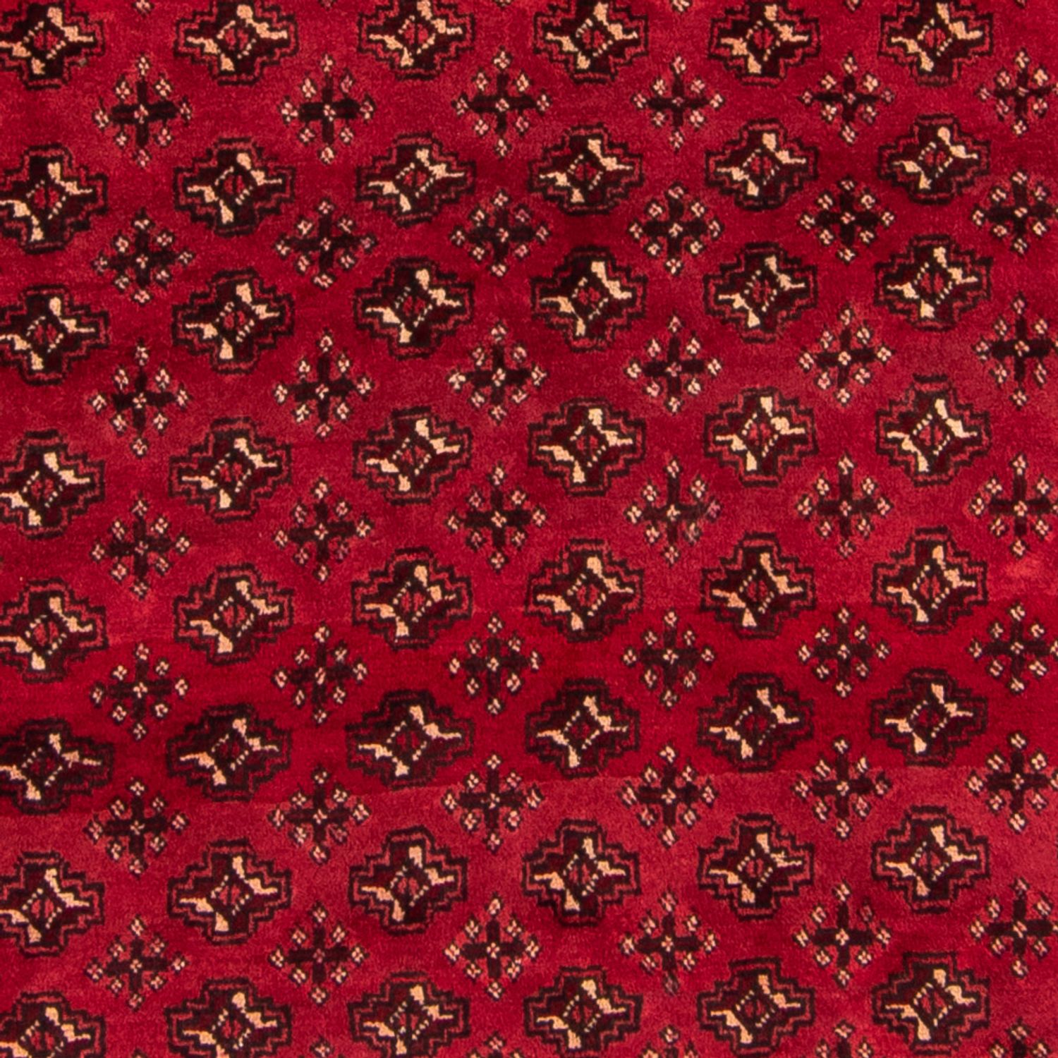 Turkaman Rug - 239 x 130 cm - red