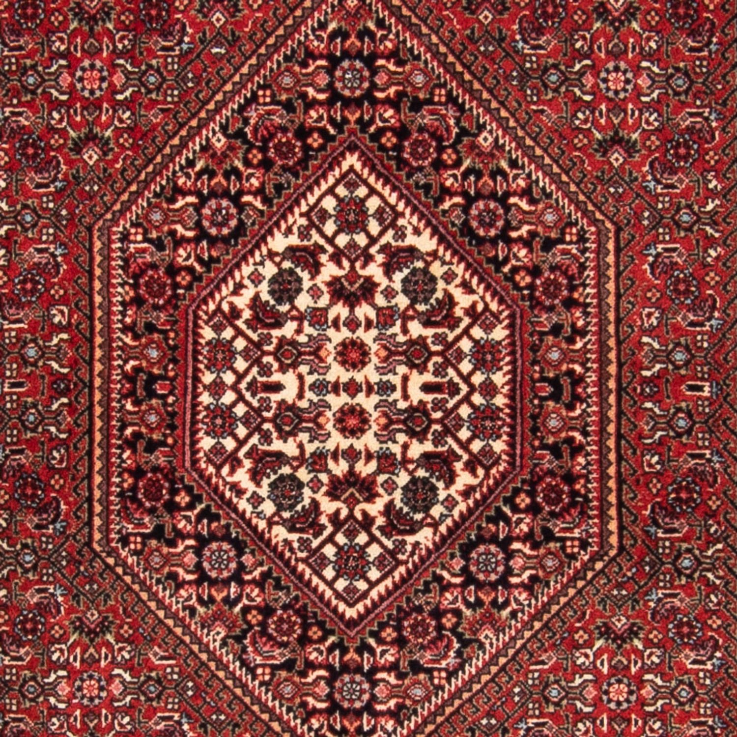 Perser Rug - Bidjar - 150 x 90 cm - red