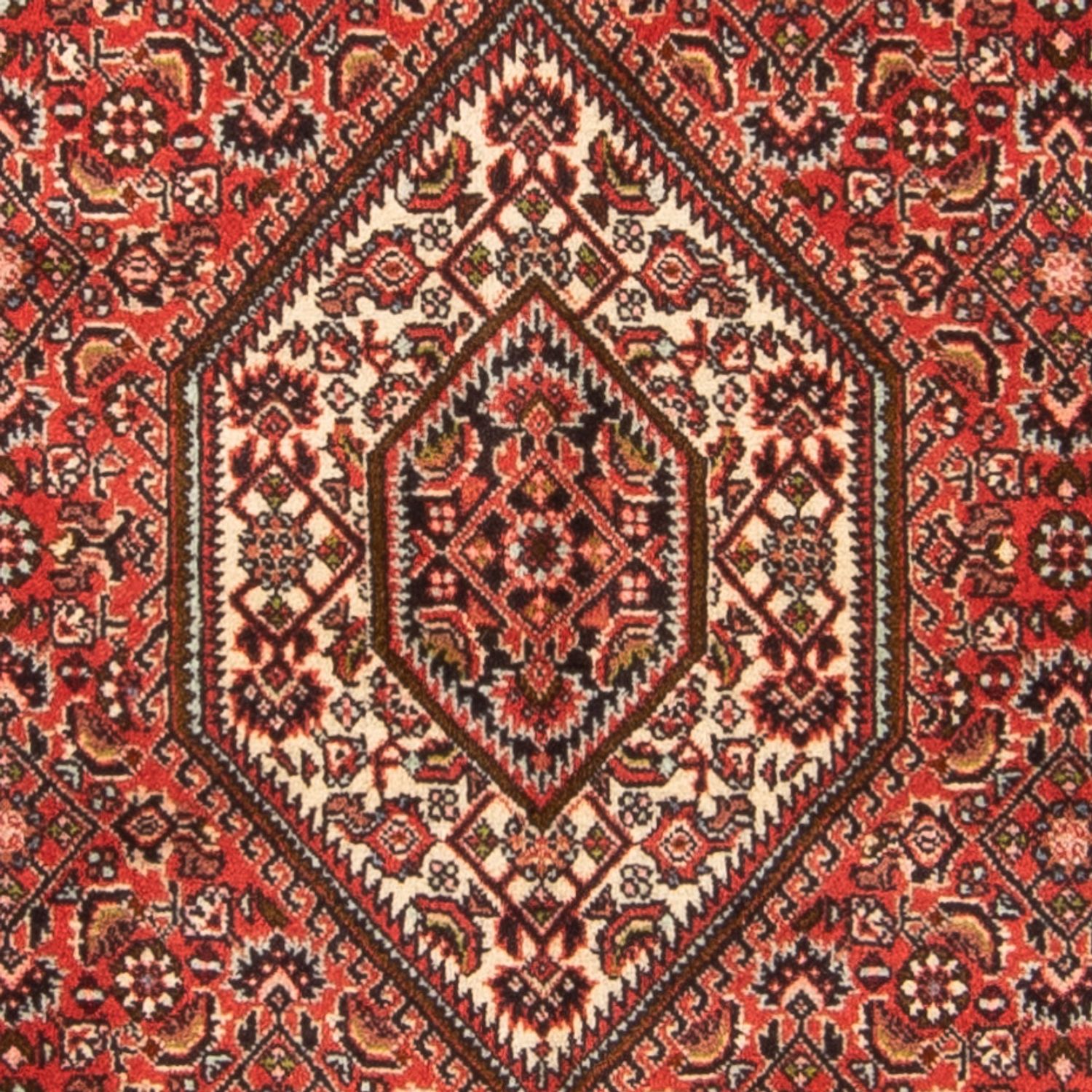 Perser Rug - Bidjar - 137 x 81 cm - red