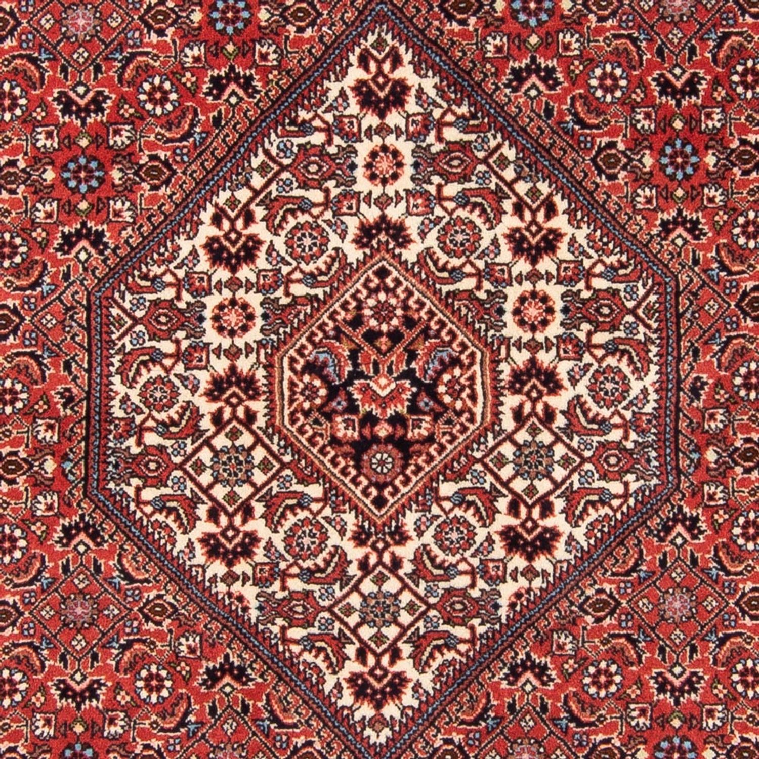 Perser Rug - Bidjar - 181 x 112 cm - red