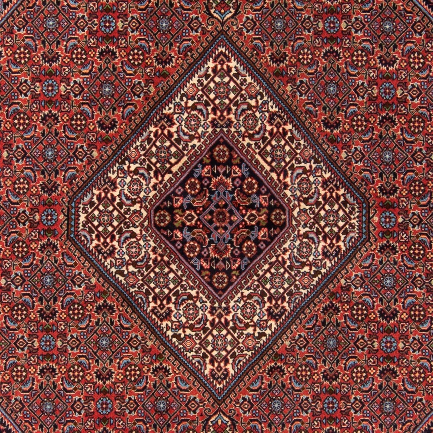 Perser Rug - Bidjar - 214 x 160 cm - red