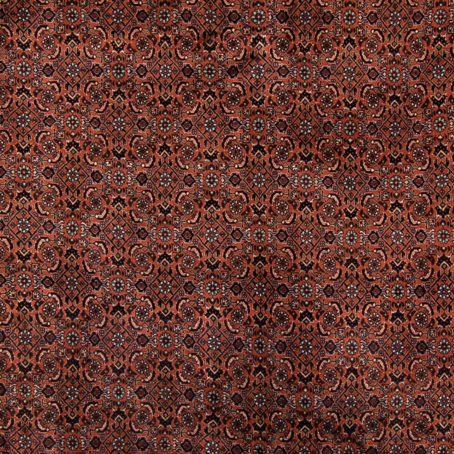 Perser Rug - Bidjar - Royal - 296 x 210 cm - brown