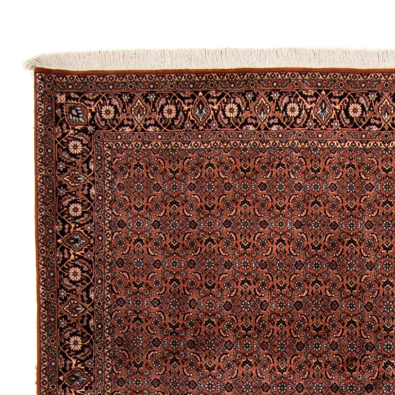 Perser Rug - Bidjar - Royal - 296 x 210 cm - brown