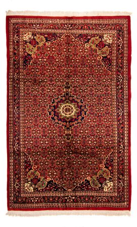 Oriental Rug - Bidjar - Indus - Royal - 308 x 198 cm - red