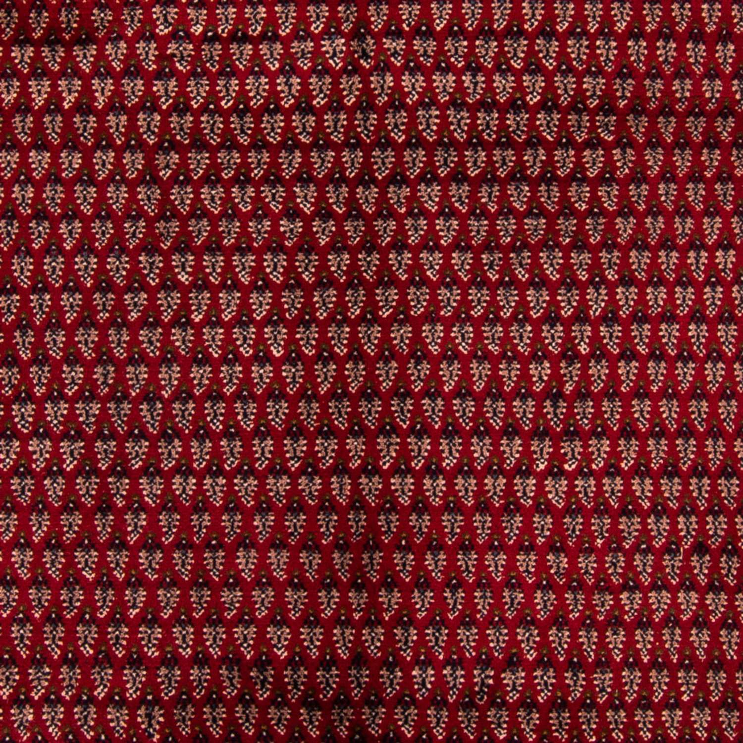 Oriental Rug - Mir - Indus - 295 x 204 cm - red