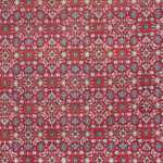 Oriental Rug - Bidjar - Indus - 353 x 253 cm - red