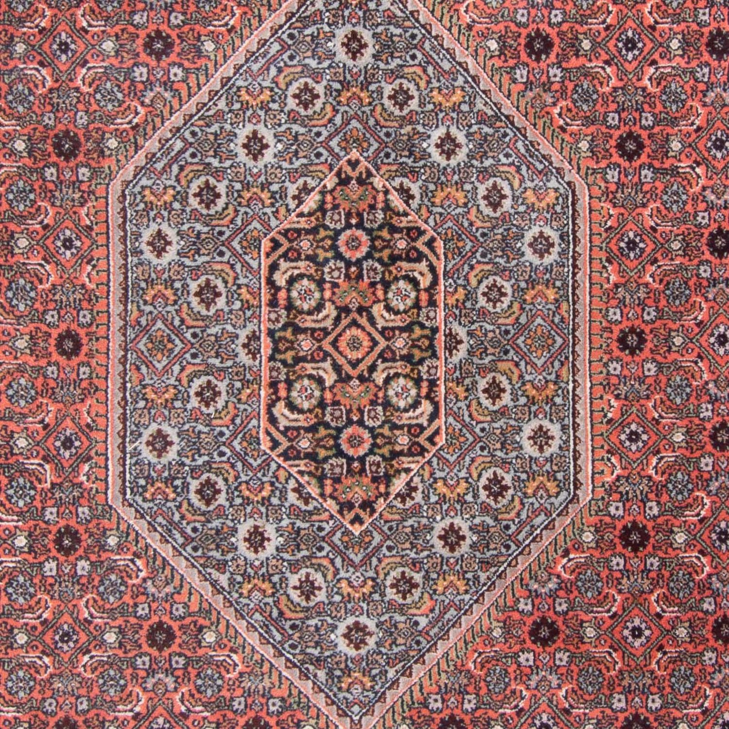 Oriental Rug - Bidjar - Indus - 346 x 248 cm - red