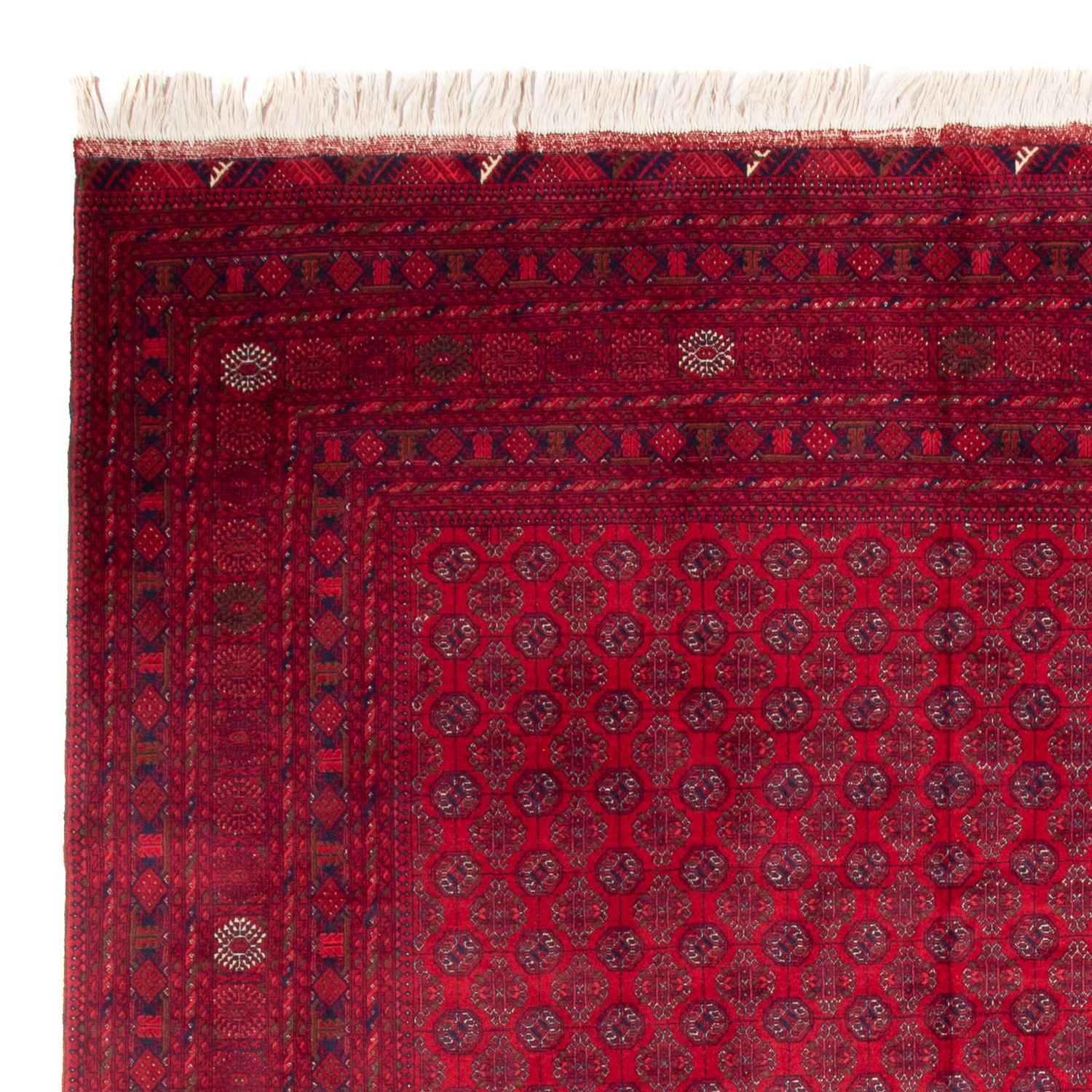 Afghan Rug - Bukhara - 340 x 240 cm - red