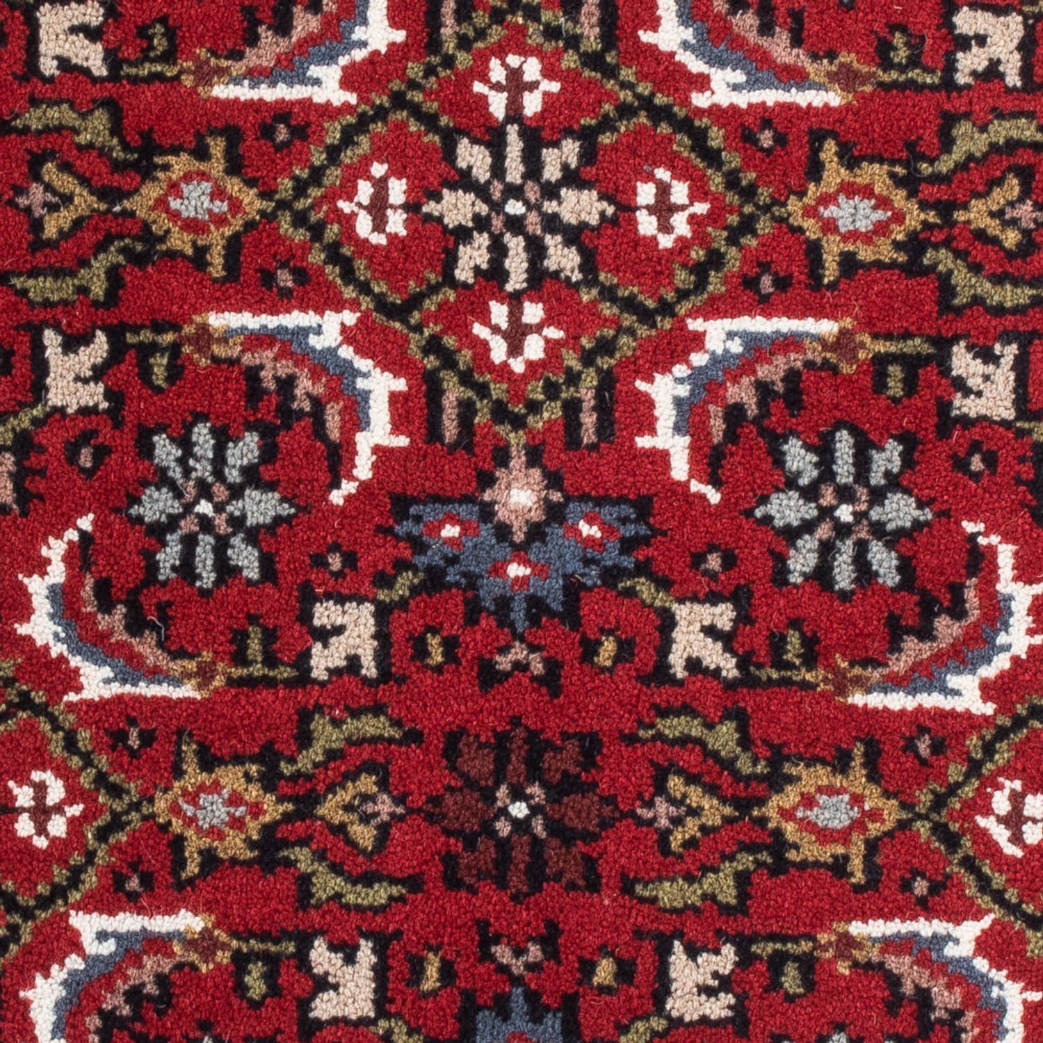 Oriental Rug - Bidjar - Indus - 90 x 60 cm - red