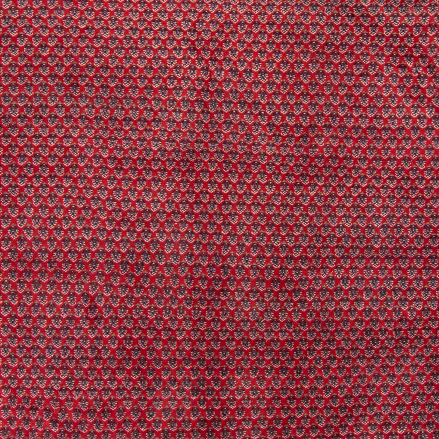 Oriental Rug - Mir - Indus - 333 x 250 cm - red