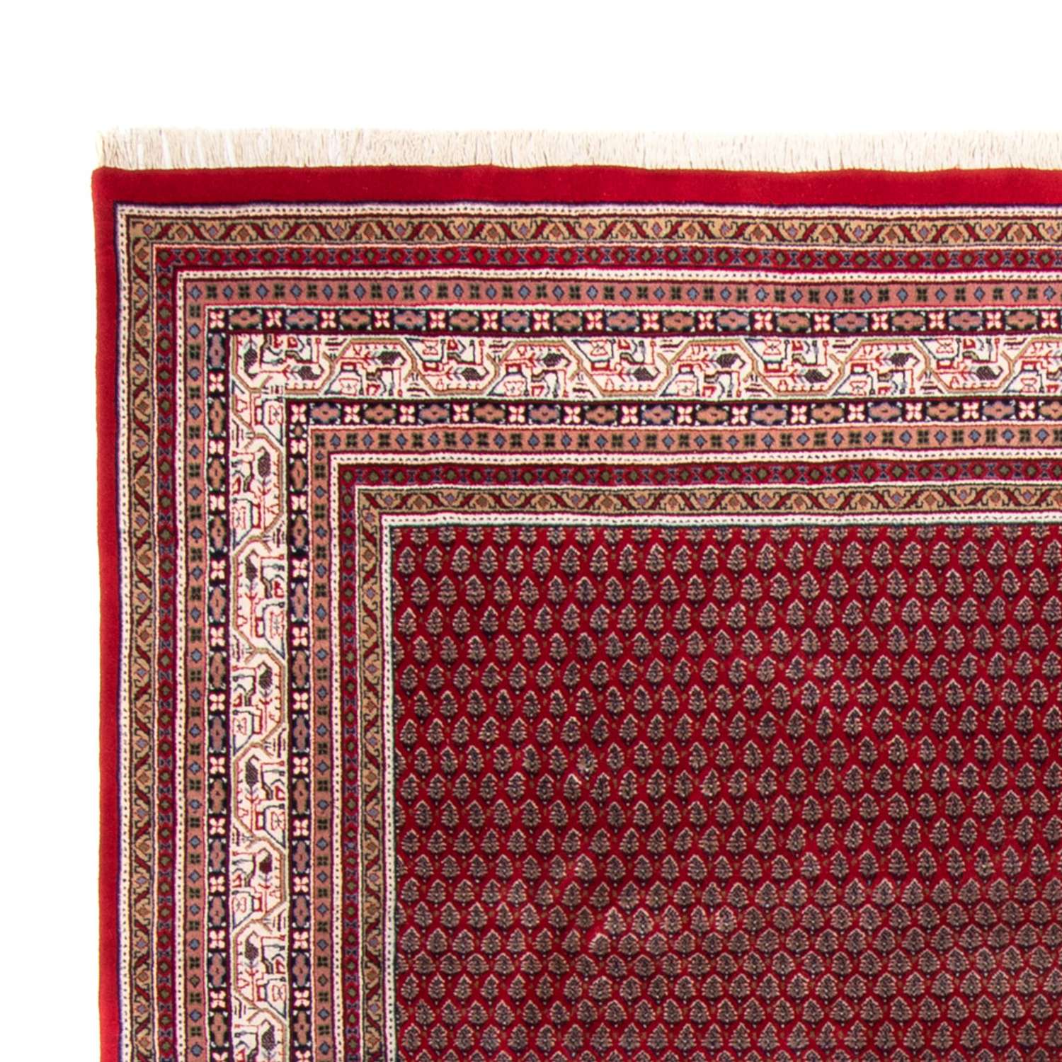 Oriental Rug - Mir - Indus - Royal - 335 x 249 cm - red
