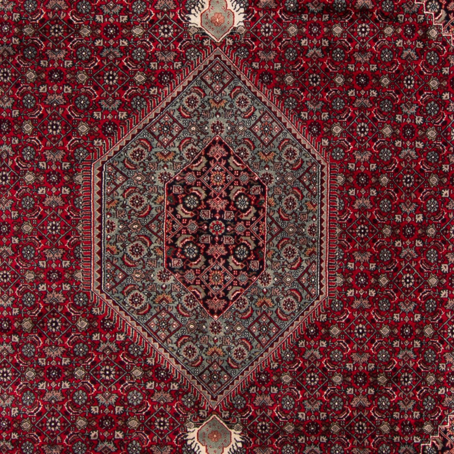 Oriental Rug - Bidjar - Indus - Royal - 348 x 252 cm - red