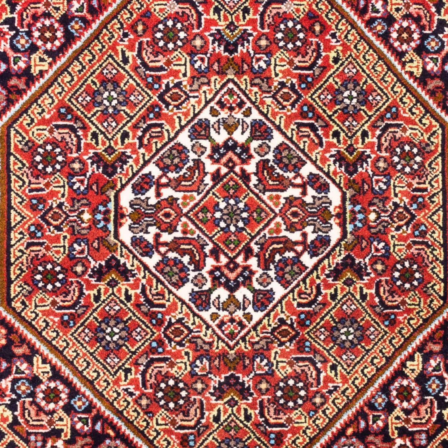 Perser Rug - Bidjar - 98 x 68 cm - red