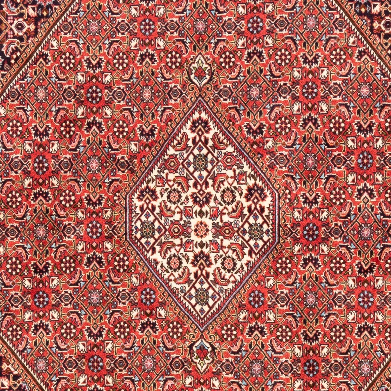 Perser Rug - Bidjar - 232 x 171 cm - red