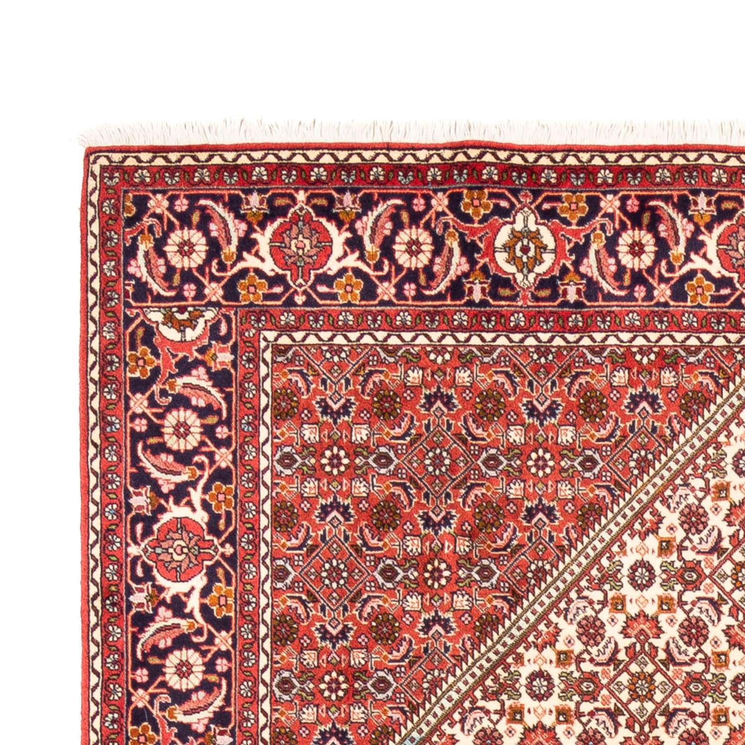 Perser Rug - Bidjar - 249 x 170 cm - beige