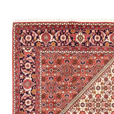 Perser Rug - Bidjar - 249 x 170 cm - beige