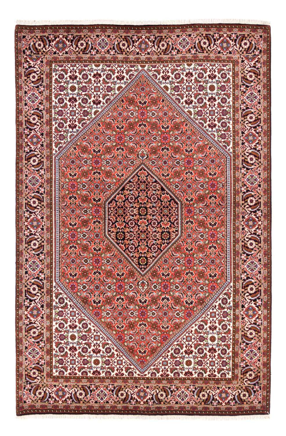 Perser Rug - Bidjar - 250 x 170 cm - red