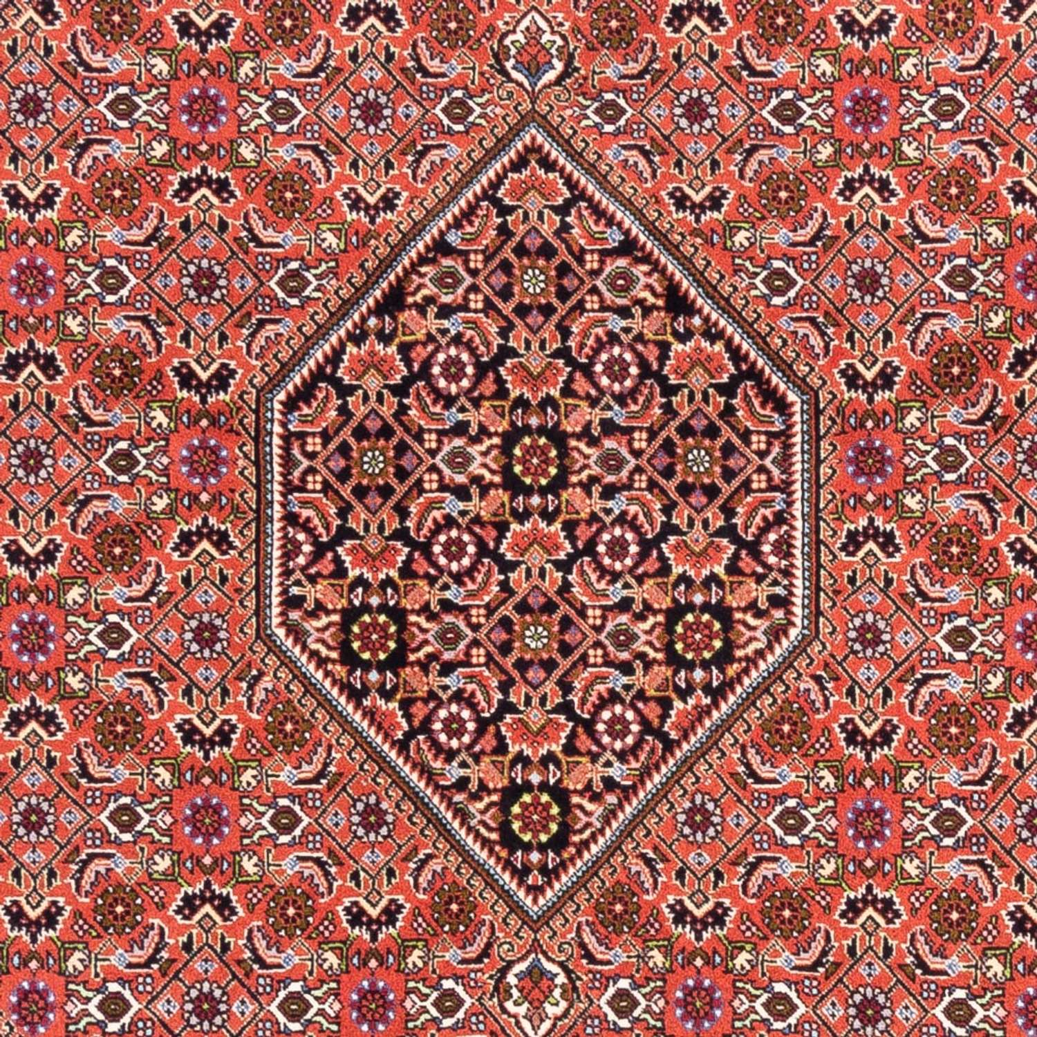 Perser Rug - Bidjar - 250 x 170 cm - red