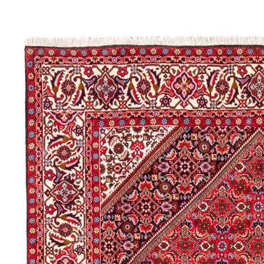 Perser Rug - Bidjar - 253 x 170 cm - red