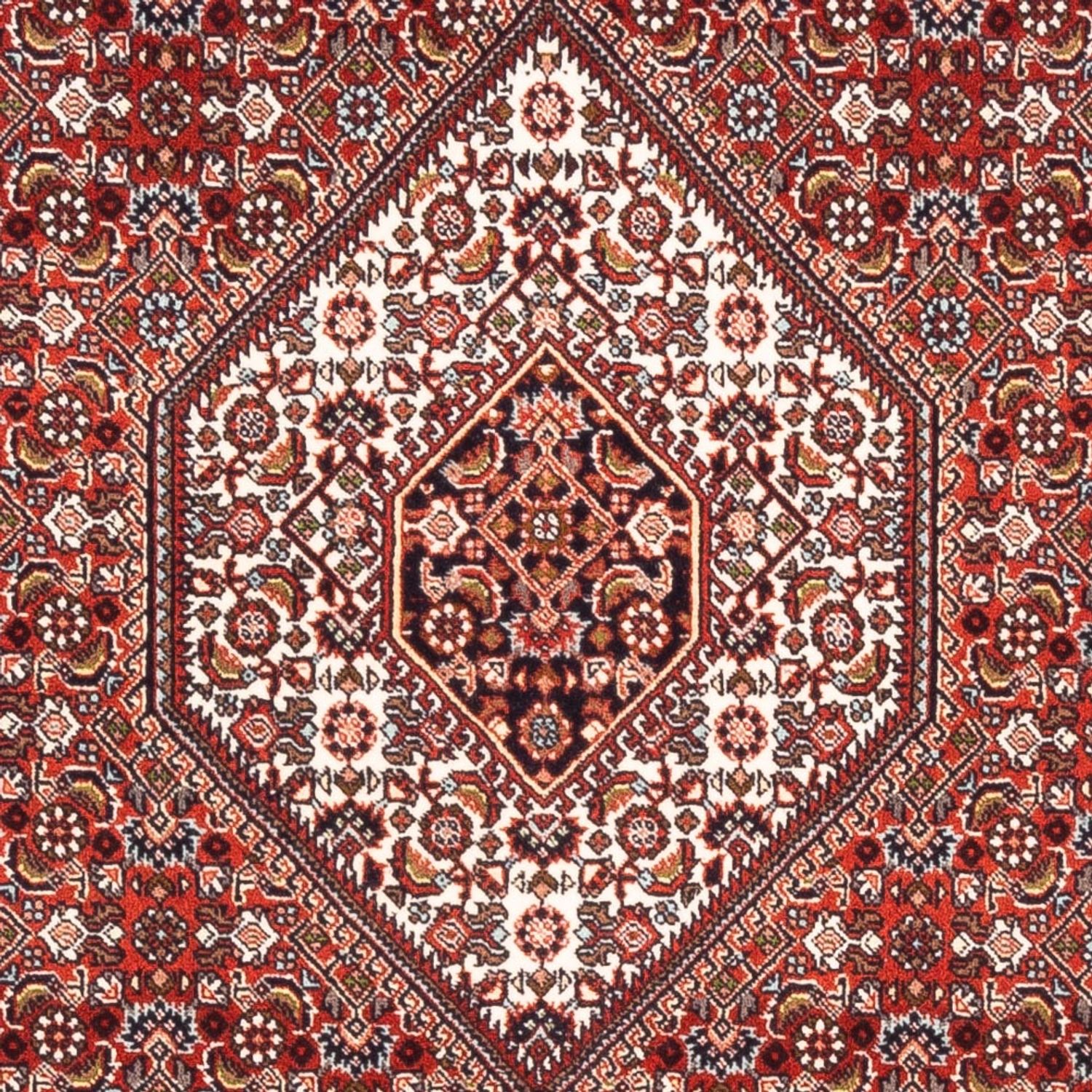 Perser Rug - Bidjar - 177 x 107 cm - red