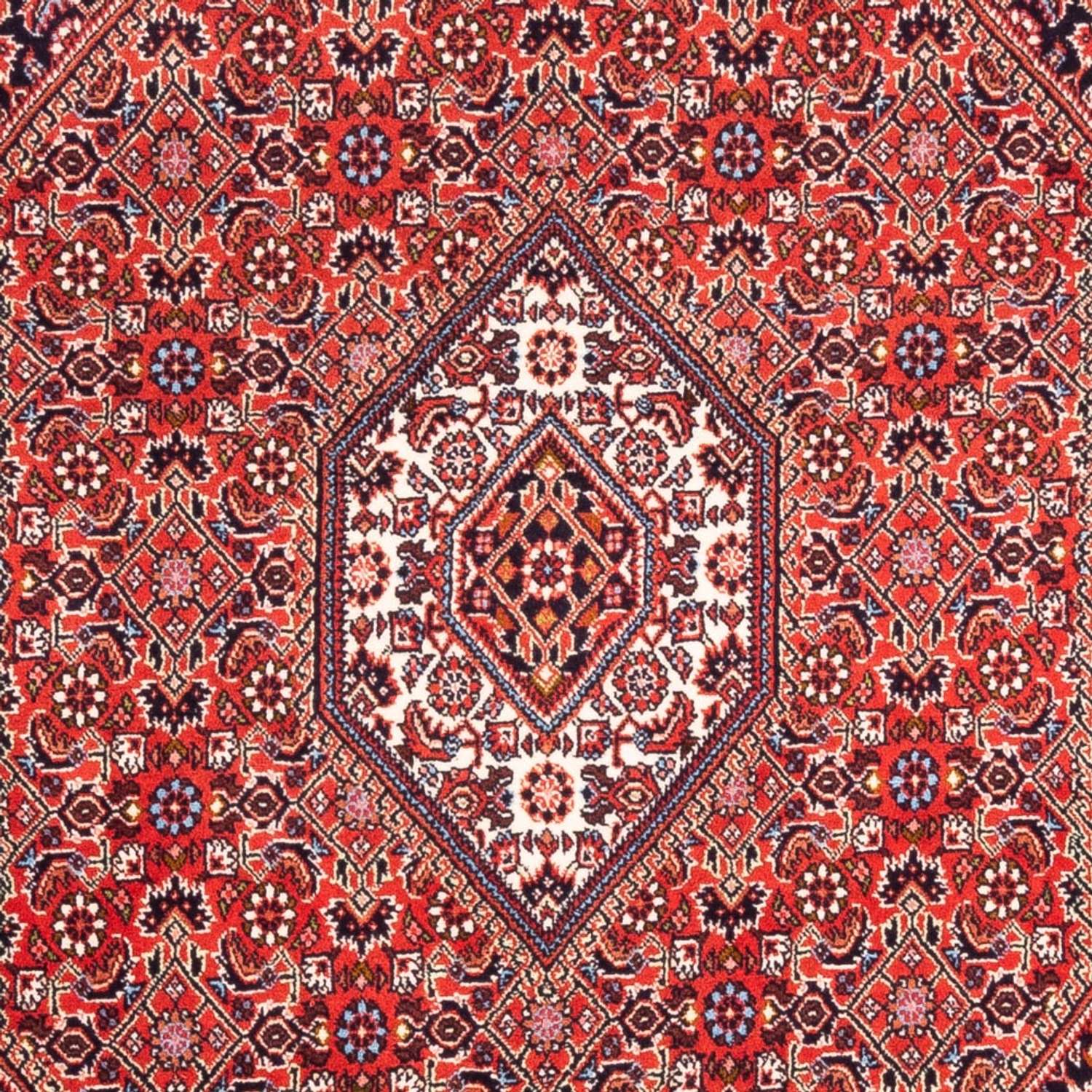 Perser Rug - Bidjar - 180 x 108 cm - red