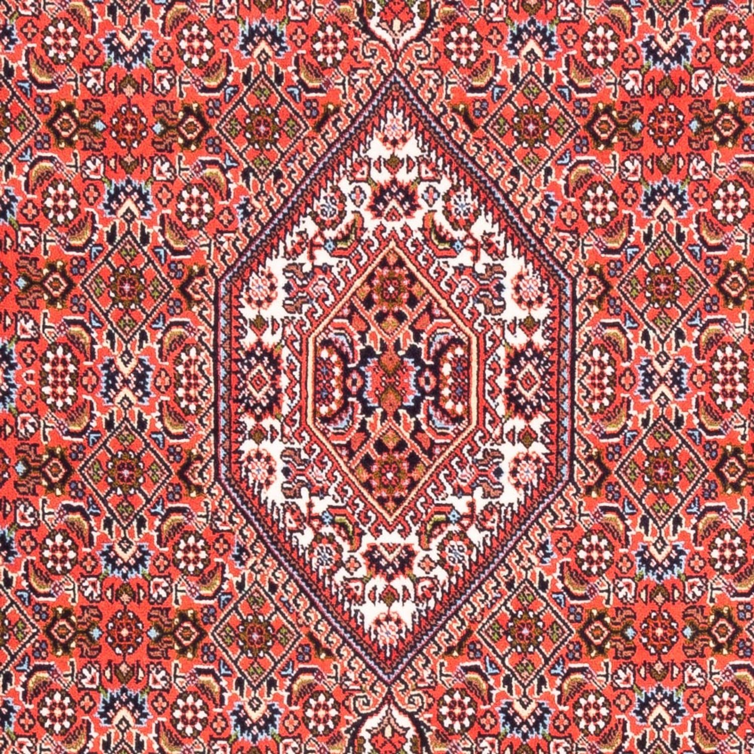 Perser Rug - Bidjar - 173 x 110 cm - red