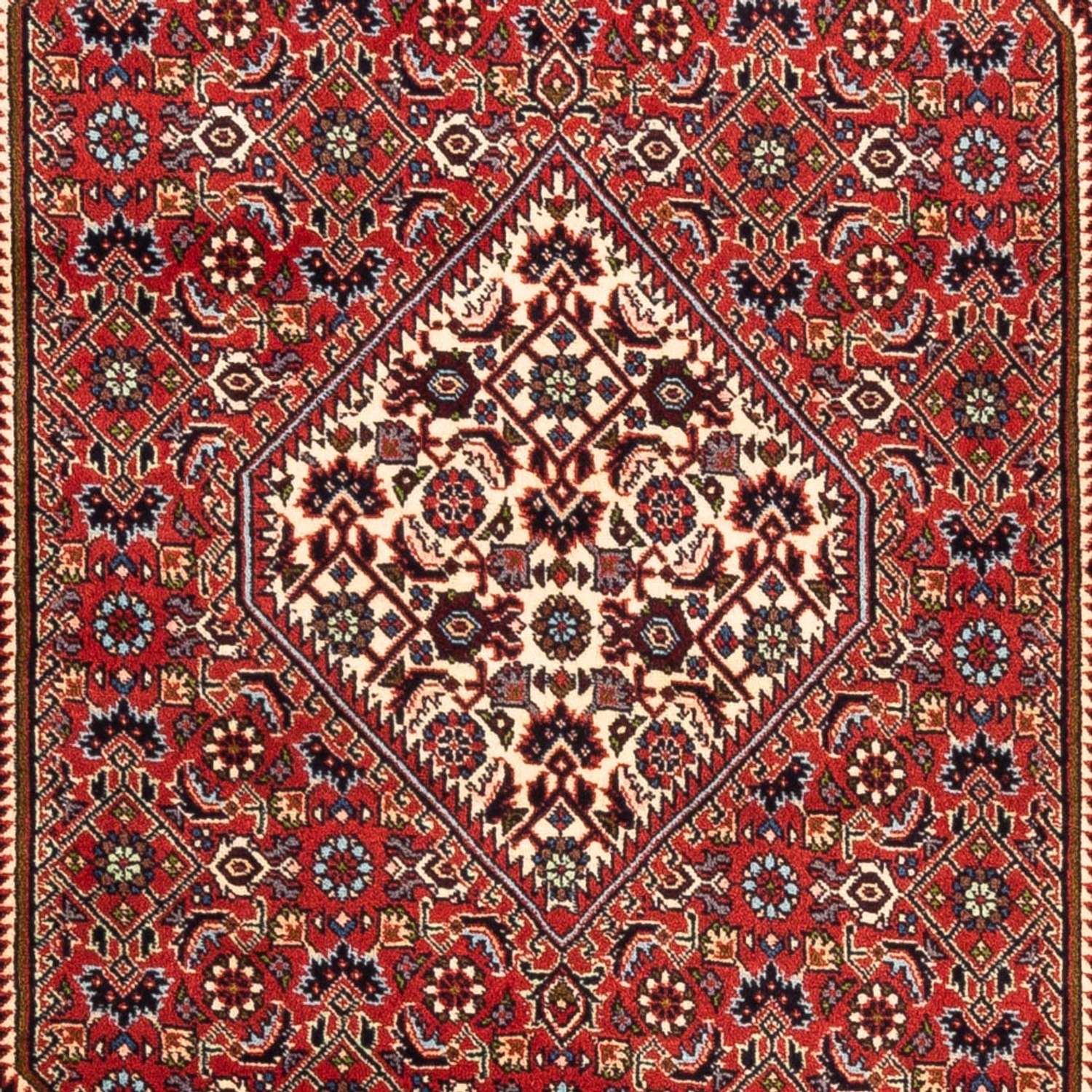 Perser Rug - Bidjar - 179 x 110 cm - red