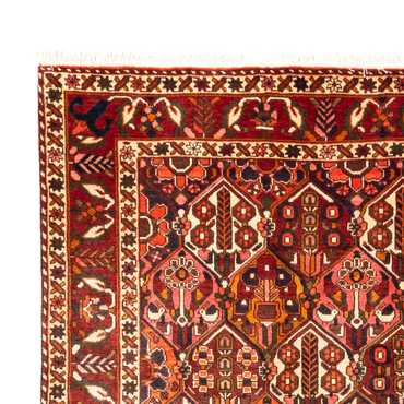 Perser Rug - Nomadic - 308 x 210 cm - multicolored