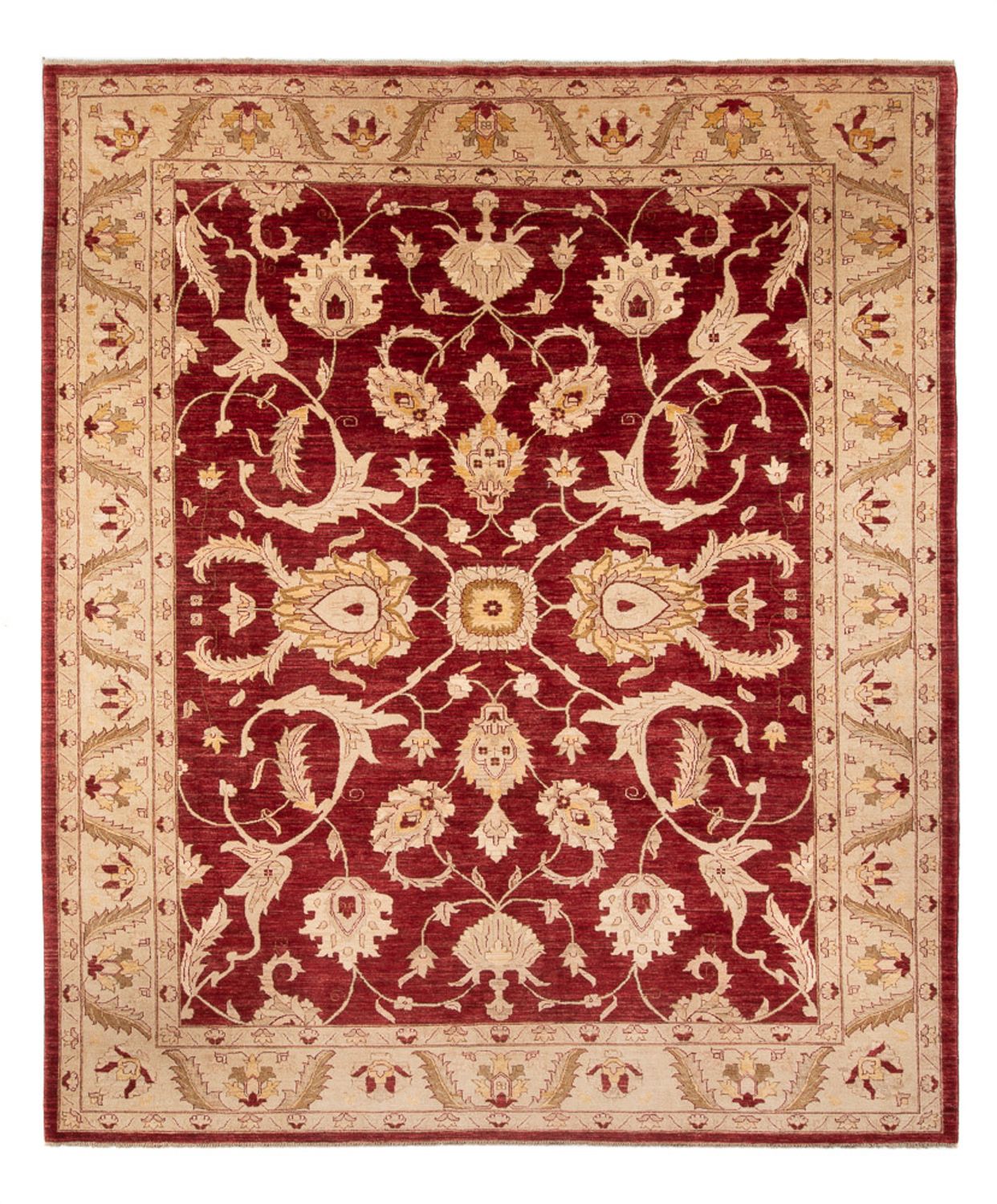 Ziegler Rug - 371 x 298 cm - red