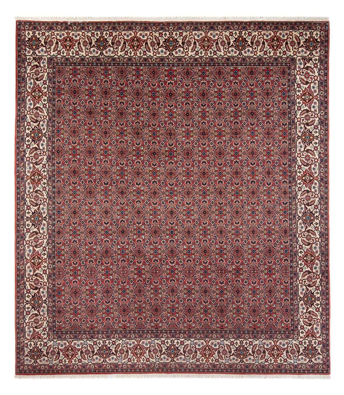 Perser Rug - Bidjar - 296 x 248 cm - dark red