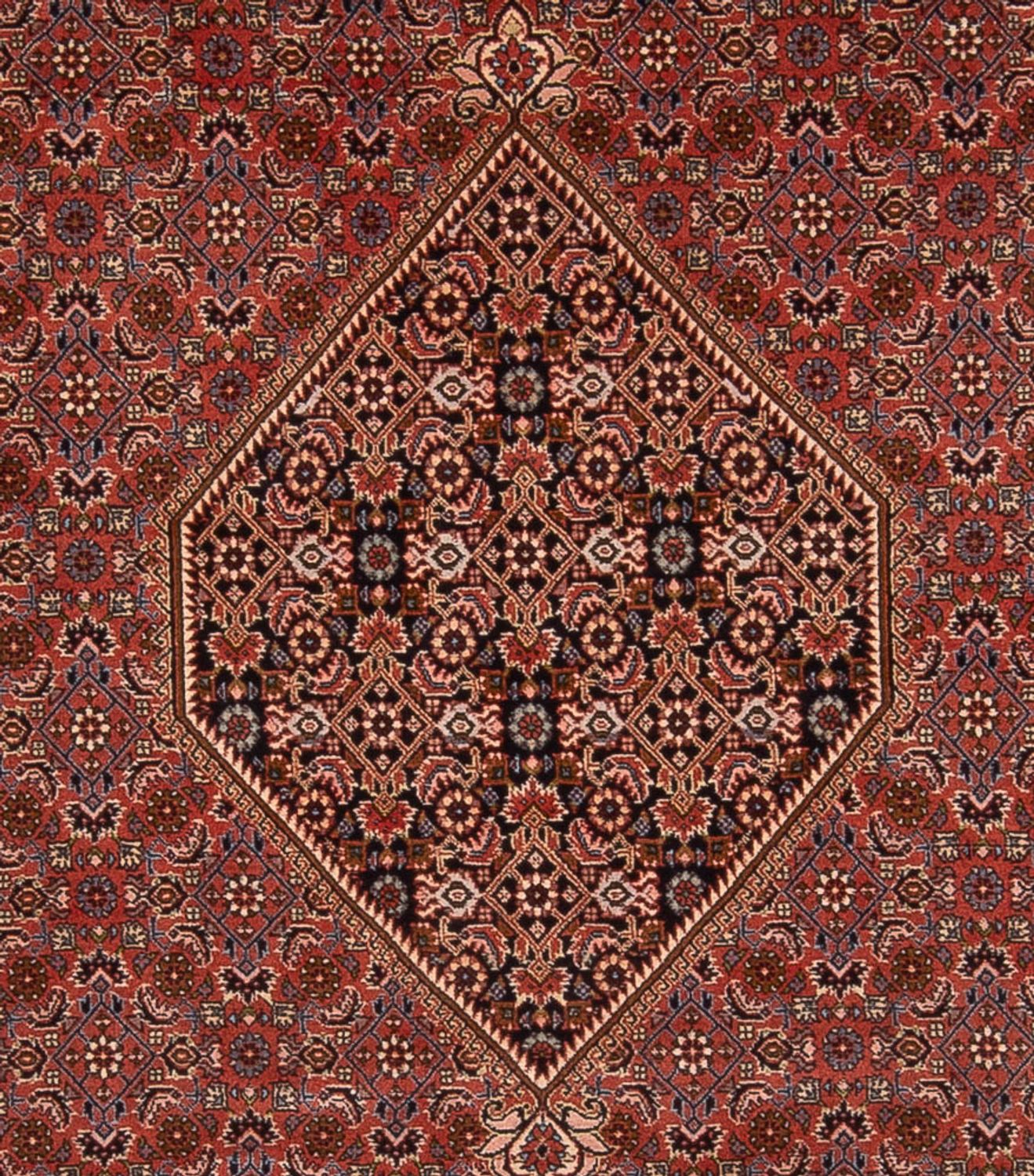 Perser Rug - Bidjar - 344 x 250 cm - rust