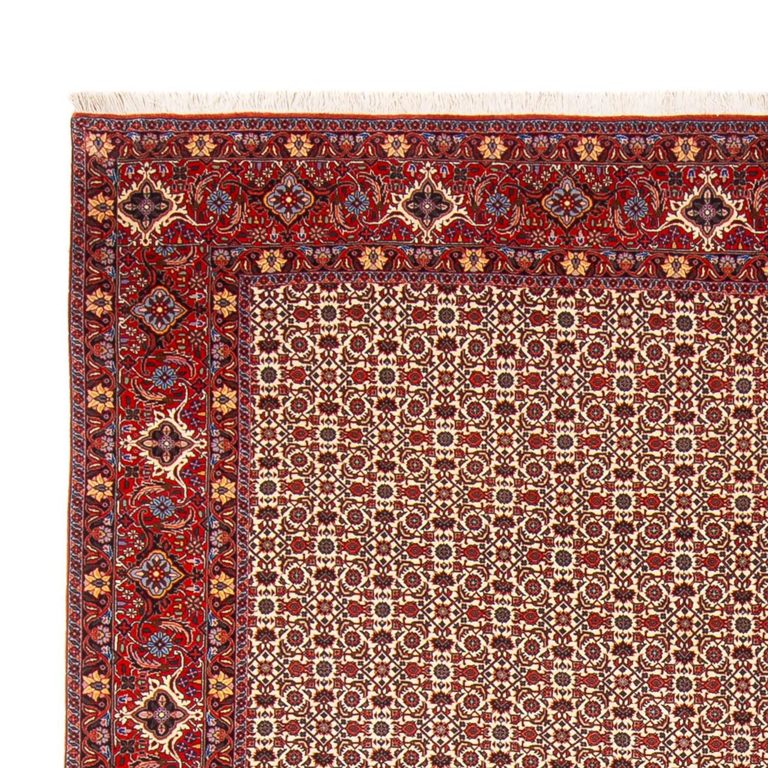 Perser Rug - Bidjar - 343 x 260 cm - cream