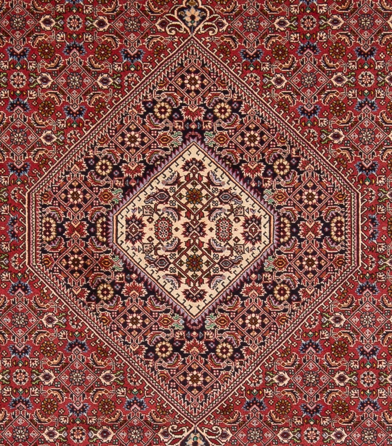 Perser Rug - Bidjar - 339 x 249 cm - dark red