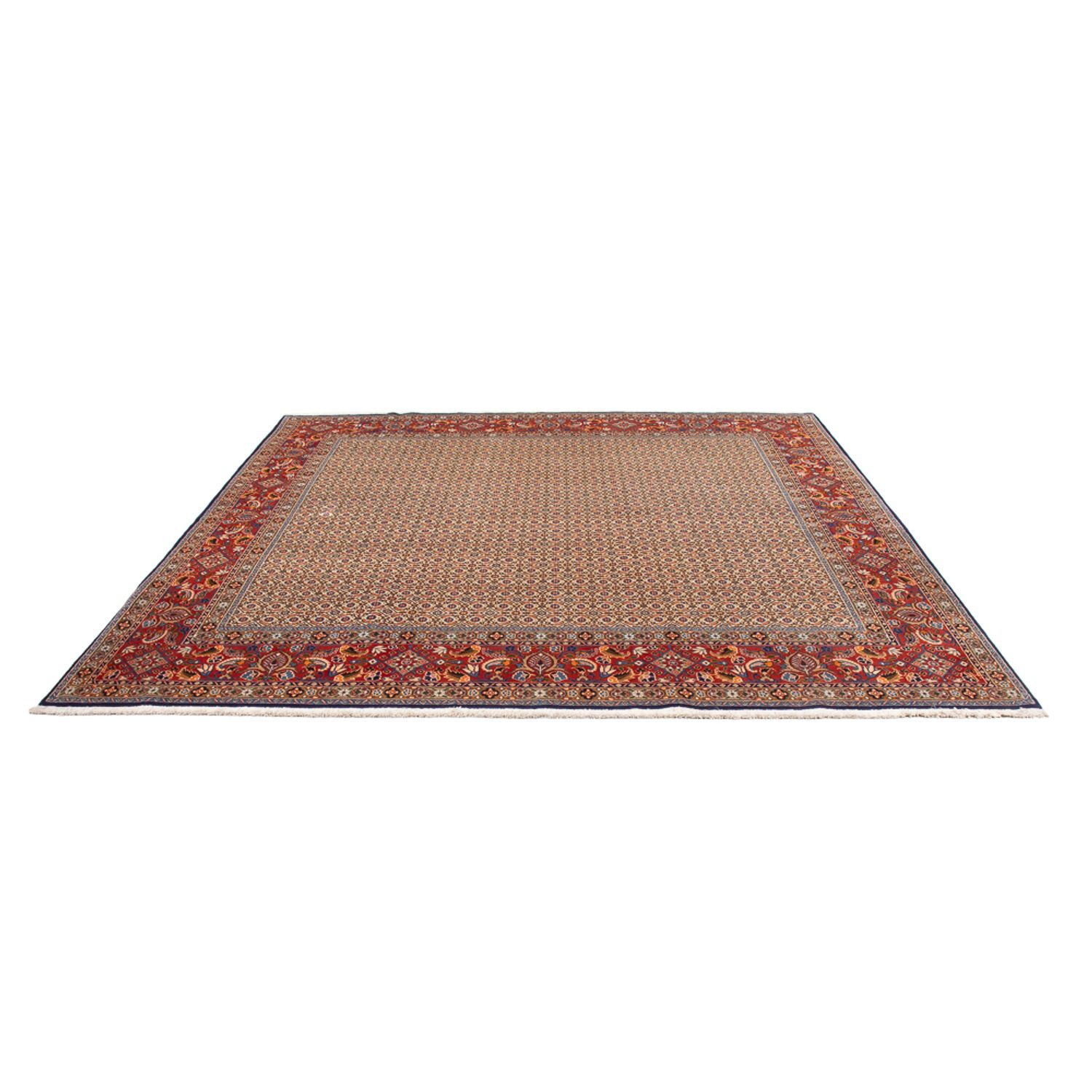 Perser Rug - Classic square  - 242 x 247 cm - dark beige