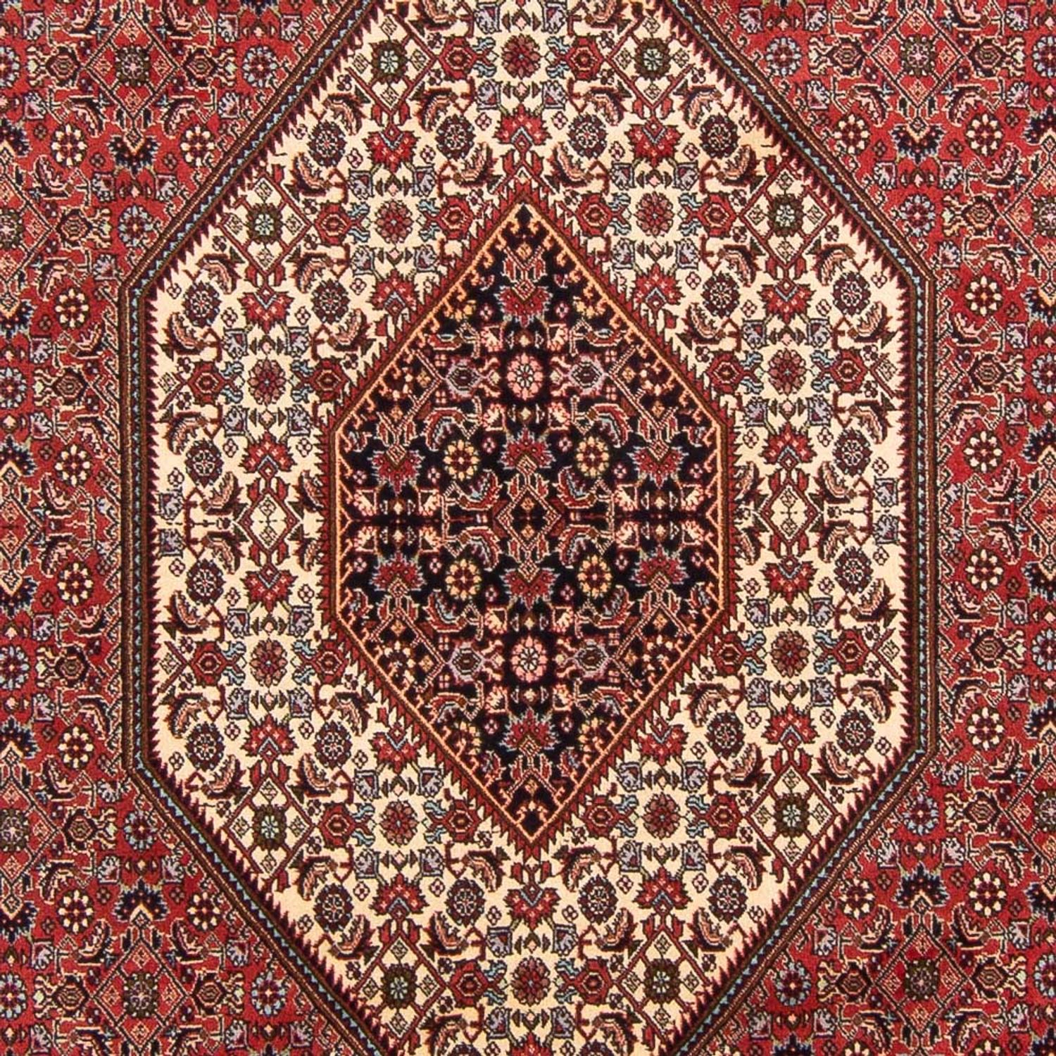 Perser Rug - Bidjar - 305 x 198 cm - red