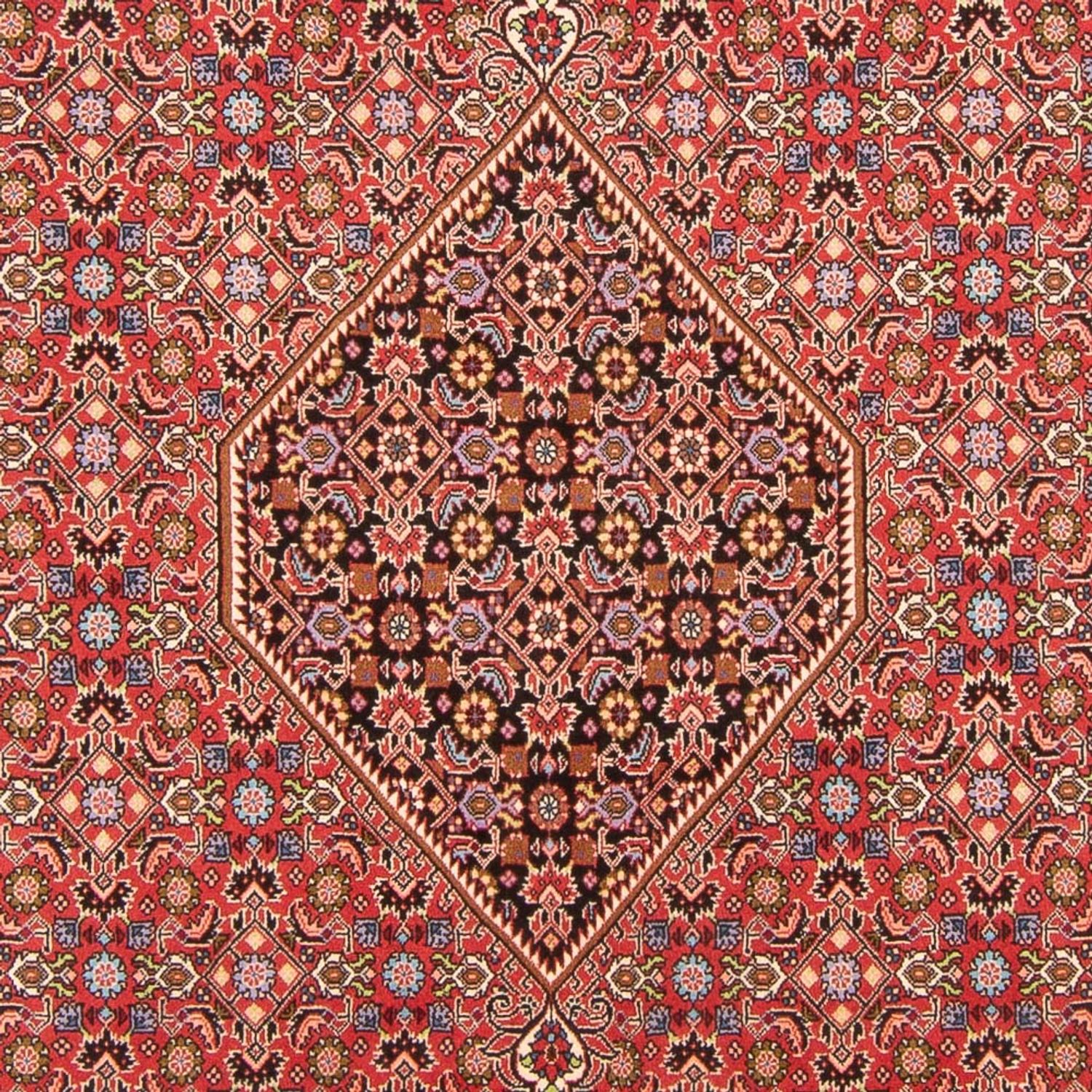 Perser Rug - Bidjar - 294 x 200 cm - red