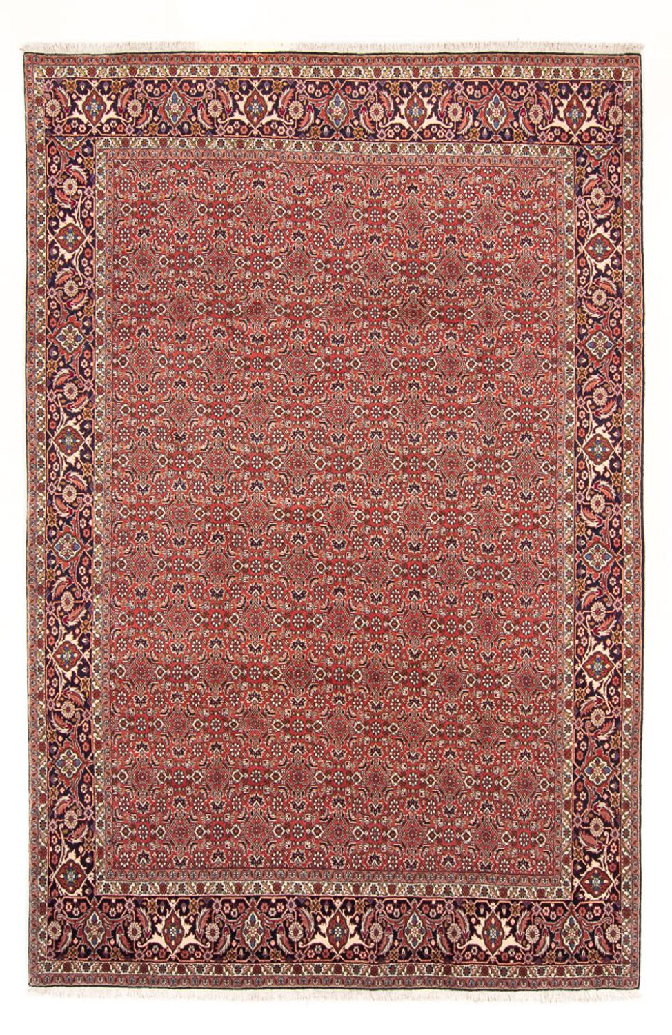 Perser Rug - Bidjar - 305 x 200 cm - red